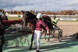 Dateiname=20251026_r01_082_R01_0244.jpg
Dateigröße=376KB
Abmessungen: 1000x667
hinzugefügt am: 27. Oktober 2025 20251026_r01_082_R01_0244.jpg