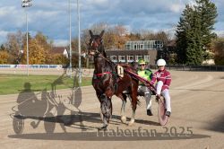 Dateiname=20251026_r01_100_R01_0330.jpg
Dateigröße=362KB
Abmessungen: 1000x667
hinzugefügt am: 27. Oktober 2025 20251026_r01_100_R01_0330.jpg