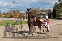 Dateiname=20251026_r01_101_R01_0332.jpg
Dateigröße=352KB
Abmessungen: 1000x667
hinzugefügt am: 27. Oktober 2025 20251026_r01_101_R01_0332.jpg