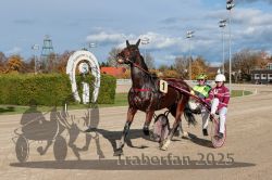 Dateiname=20251026_r01_106_R01_0345.jpg
Dateigröße=334KB
Abmessungen: 1000x667
hinzugefügt am: 27. Oktober 2025 20251026_r01_106_R01_0345.jpg