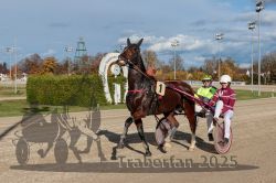 Dateiname=20251026_r01_108_R01_0348.jpg
Dateigröße=329KB
Abmessungen: 1000x667
hinzugefügt am: 27. Oktober 2025 20251026_r01_108_R01_0348.jpg