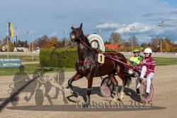 Dateiname=20251026_r01_110_R01_0351.jpg
Dateigröße=324KB
Abmessungen: 1000x667
hinzugefügt am: 27. Oktober 2025 20251026_r01_110_R01_0351.jpg