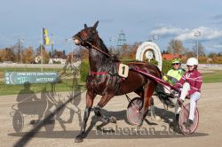 Dateiname=20251026_r01_112_R01_0354.jpg
Dateigröße=322KB
Abmessungen: 1000x667
hinzugefügt am: 27. Oktober 2025 20251026_r01_112_R01_0354.jpg