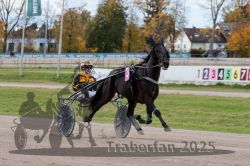 Dateiname=20251026_r02_002_R02_0003.jpg
Dateigröße=299KB
Abmessungen: 1000x667
hinzugefügt am: 27. Oktober 2025 20251026_r02_002_R02_0003.jpg