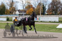 Dateiname=20251026_r02_004_R02_0007.jpg
Dateigröße=341KB
Abmessungen: 1000x667
hinzugefügt am: 27. Oktober 2025 20251026_r02_004_R02_0007.jpg