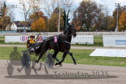 Dateiname=20251026_r02_005_R02_0009.jpg
Dateigröße=330KB
Abmessungen: 1000x667
hinzugefügt am: 27. Oktober 2025 20251026_r02_005_R02_0009.jpg