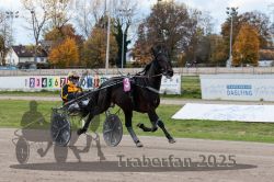 Dateiname=20251026_r02_006_R02_0010.jpg
Dateigröße=350KB
Abmessungen: 1000x667
hinzugefügt am: 27. Oktober 2025 20251026_r02_006_R02_0010.jpg