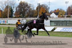 Dateiname=20251026_r02_007_R02_0013.jpg
Dateigröße=310KB
Abmessungen: 1000x667
hinzugefügt am: 27. Oktober 2025 20251026_r02_007_R02_0013.jpg