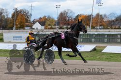 Dateiname=20251026_r02_009_R02_0017.jpg
Dateigröße=277KB
Abmessungen: 1000x667
hinzugefügt am: 27. Oktober 2025 20251026_r02_009_R02_0017.jpg