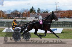 Dateiname=20251026_r02_011_R02_0023.jpg
Dateigröße=278KB
Abmessungen: 1000x667
hinzugefügt am: 27. Oktober 2025 20251026_r02_011_R02_0023.jpg