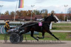 Dateiname=20251026_r02_014_R02_0030.jpg
Dateigröße=258KB
Abmessungen: 1000x667
hinzugefügt am: 27. Oktober 2025 20251026_r02_014_R02_0030.jpg