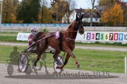 Dateiname=20251026_r02_017_R02_0040.jpg
Dateigröße=303KB
Abmessungen: 1000x667
hinzugefügt am: 27. Oktober 2025 20251026_r02_017_R02_0040.jpg