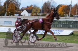 Dateiname=20251026_r02_023_R02_0055.jpg
Dateigröße=296KB
Abmessungen: 1000x667
hinzugefügt am: 27. Oktober 2025 20251026_r02_023_R02_0055.jpg