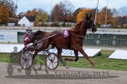 Dateiname=20251026_r02_024_R02_0056.jpg
Dateigröße=288KB
Abmessungen: 1000x667
hinzugefügt am: 27. Oktober 2025 20251026_r02_024_R02_0056.jpg