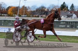 Dateiname=20251026_r02_025_R02_0060.jpg
Dateigröße=279KB
Abmessungen: 1000x667
hinzugefügt am: 27. Oktober 2025 20251026_r02_025_R02_0060.jpg