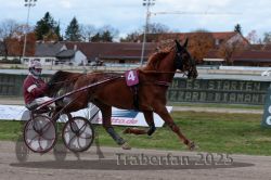 Dateiname=20251026_r02_027_R02_0064.jpg
Dateigröße=277KB
Abmessungen: 1000x667
hinzugefügt am: 27. Oktober 2025 20251026_r02_027_R02_0064.jpg