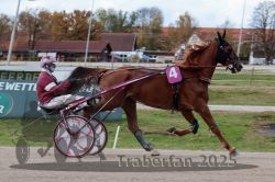 Dateiname=20251026_r02_030_R02_0072.jpg
Dateigröße=291KB
Abmessungen: 1000x667
hinzugefügt am: 27. Oktober 2025 20251026_r02_030_R02_0072.jpg