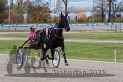 Dateiname=20251026_r02_031_R02_0076.jpg
Dateigröße=291KB
Abmessungen: 1000x667
hinzugefügt am: 27. Oktober 2025 20251026_r02_031_R02_0076.jpg