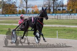 Dateiname=20251026_r02_032_R02_0079.jpg
Dateigröße=302KB
Abmessungen: 1000x667
hinzugefügt am: 27. Oktober 2025 20251026_r02_032_R02_0079.jpg