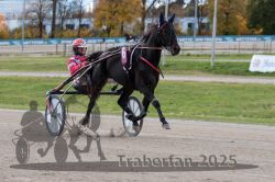 Dateiname=20251026_r02_033_R02_0085.jpg
Dateigröße=293KB
Abmessungen: 1000x667
hinzugefügt am: 27. Oktober 2025 20251026_r02_033_R02_0085.jpg