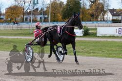 Dateiname=20251026_r02_034_R02_0089.jpg
Dateigröße=291KB
Abmessungen: 1000x667
hinzugefügt am: 27. Oktober 2025 20251026_r02_034_R02_0089.jpg