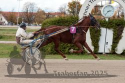 Dateiname=20251026_r02_055_R02_0152.jpg
Dateigröße=310KB
Abmessungen: 1000x667
hinzugefügt am: 27. Oktober 2025 20251026_r02_055_R02_0152.jpg