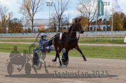 Dateiname=20251026_r02_056_R02_0155.jpg
Dateigröße=329KB
Abmessungen: 1000x667
hinzugefügt am: 27. Oktober 2025 20251026_r02_056_R02_0155.jpg