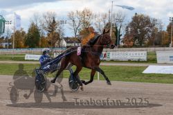 Dateiname=20251026_r02_060_R02_0166.jpg
Dateigröße=315KB
Abmessungen: 1000x667
hinzugefügt am: 27. Oktober 2025 20251026_r02_060_R02_0166.jpg