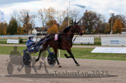 Dateiname=20251026_r02_061_R02_0167.jpg
Dateigröße=305KB
Abmessungen: 1000x667
hinzugefügt am: 27. Oktober 2025 20251026_r02_061_R02_0167.jpg