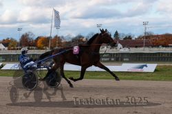 Dateiname=20251026_r02_064_R02_0177.jpg
Dateigröße=251KB
Abmessungen: 1000x667
hinzugefügt am: 27. Oktober 2025 20251026_r02_064_R02_0177.jpg