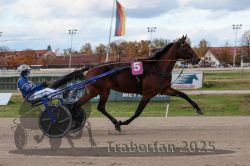 Dateiname=20251026_r02_066_R02_0184.jpg
Dateigröße=267KB
Abmessungen: 1000x667
hinzugefügt am: 27. Oktober 2025 20251026_r02_066_R02_0184.jpg