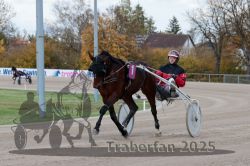 Dateiname=20251026_r02_068_R02_0191.jpg
Dateigröße=302KB
Abmessungen: 1000x667
hinzugefügt am: 27. Oktober 2025 20251026_r02_068_R02_0191.jpg