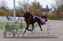 Dateiname=20251026_r02_069_R02_0192.jpg
Dateigröße=288KB
Abmessungen: 1000x667
hinzugefügt am: 27. Oktober 2025 20251026_r02_069_R02_0192.jpg