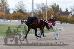 Dateiname=20251026_r02_070_R02_0196.jpg
Dateigröße=288KB
Abmessungen: 1000x667
hinzugefügt am: 27. Oktober 2025 20251026_r02_070_R02_0196.jpg