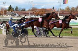 Dateiname=20251026_r02_084_R02_0237.jpg
Dateigröße=313KB
Abmessungen: 1000x667
hinzugefügt am: 27. Oktober 2025 20251026_r02_084_R02_0237.jpg