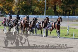 Dateiname=20251026_r02_093_R02_0279.jpg
Dateigröße=362KB
Abmessungen: 1000x667
hinzugefügt am: 27. Oktober 2025 20251026_r02_093_R02_0279.jpg