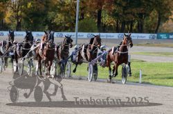 Dateiname=20251026_r02_094_R02_0282.jpg
Dateigröße=361KB
Abmessungen: 1000x667
hinzugefügt am: 27. Oktober 2025 20251026_r02_094_R02_0282.jpg