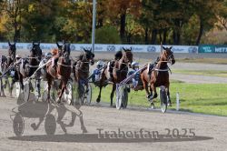 Dateiname=20251026_r02_095_R02_0283.jpg
Dateigröße=369KB
Abmessungen: 1000x667
hinzugefügt am: 27. Oktober 2025 20251026_r02_095_R02_0283.jpg