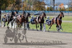 Dateiname=20251026_r02_098_R02_0293.jpg
Dateigröße=402KB
Abmessungen: 1000x667
hinzugefügt am: 27. Oktober 2025 20251026_r02_098_R02_0293.jpg