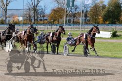 Dateiname=20251026_r02_100_R02_0300.jpg
Dateigröße=412KB
Abmessungen: 1000x667
hinzugefügt am: 27. Oktober 2025 20251026_r02_100_R02_0300.jpg