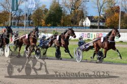 Dateiname=20251026_r02_104_R02_0310.jpg
Dateigröße=442KB
Abmessungen: 1000x667
hinzugefügt am: 27. Oktober 2025 20251026_r02_104_R02_0310.jpg