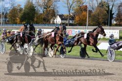 Dateiname=20251026_r02_106_R02_0317.jpg
Dateigröße=436KB
Abmessungen: 1000x667
hinzugefügt am: 27. Oktober 2025 20251026_r02_106_R02_0317.jpg