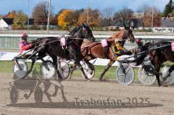 Dateiname=20251026_r02_113_R02_0342.jpg
Dateigröße=387KB
Abmessungen: 1000x667
hinzugefügt am: 27. Oktober 2025 20251026_r02_113_R02_0342.jpg