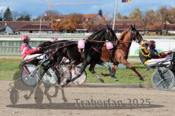 Dateiname=20251026_r02_114_R02_0346.jpg
Dateigröße=349KB
Abmessungen: 1000x667
hinzugefügt am: 27. Oktober 2025 20251026_r02_114_R02_0346.jpg