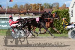 Dateiname=20251026_r02_116_R02_0350.jpg
Dateigröße=349KB
Abmessungen: 1000x667
hinzugefügt am: 27. Oktober 2025 20251026_r02_116_R02_0350.jpg