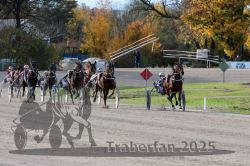 Dateiname=20251026_r02_121_R02_0369.jpg
Dateigröße=369KB
Abmessungen: 1000x667
hinzugefügt am: 27. Oktober 2025 20251026_r02_121_R02_0369.jpg