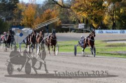 Dateiname=20251026_r02_123_R02_0377.jpg
Dateigröße=365KB
Abmessungen: 1000x667
hinzugefügt am: 27. Oktober 2025 20251026_r02_123_R02_0377.jpg