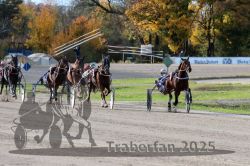 Dateiname=20251026_r02_124_R02_0380.jpg
Dateigröße=368KB
Abmessungen: 1000x667
hinzugefügt am: 27. Oktober 2025 20251026_r02_124_R02_0380.jpg