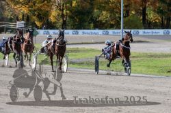 Dateiname=20251026_r02_125_R02_0385.jpg
Dateigröße=358KB
Abmessungen: 1000x667
hinzugefügt am: 27. Oktober 2025 20251026_r02_125_R02_0385.jpg