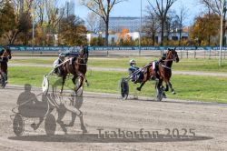 Dateiname=20251026_r02_128_R02_0398.jpg
Dateigröße=418KB
Abmessungen: 1000x667
hinzugefügt am: 27. Oktober 2025 20251026_r02_128_R02_0398.jpg